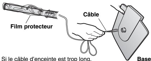 Film protecteur Câble Si le câble d'enceinte est trop long, Base
