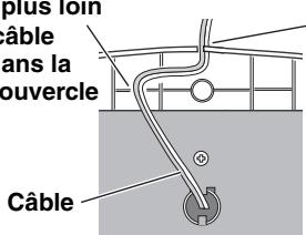plus loin câble ans la pouvercle Câble