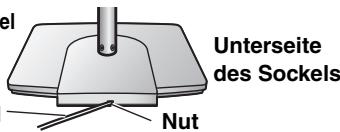 Unterseite des Sockels Nut