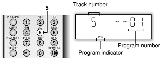 PANASONIC SC-PM21 - Program play - 2