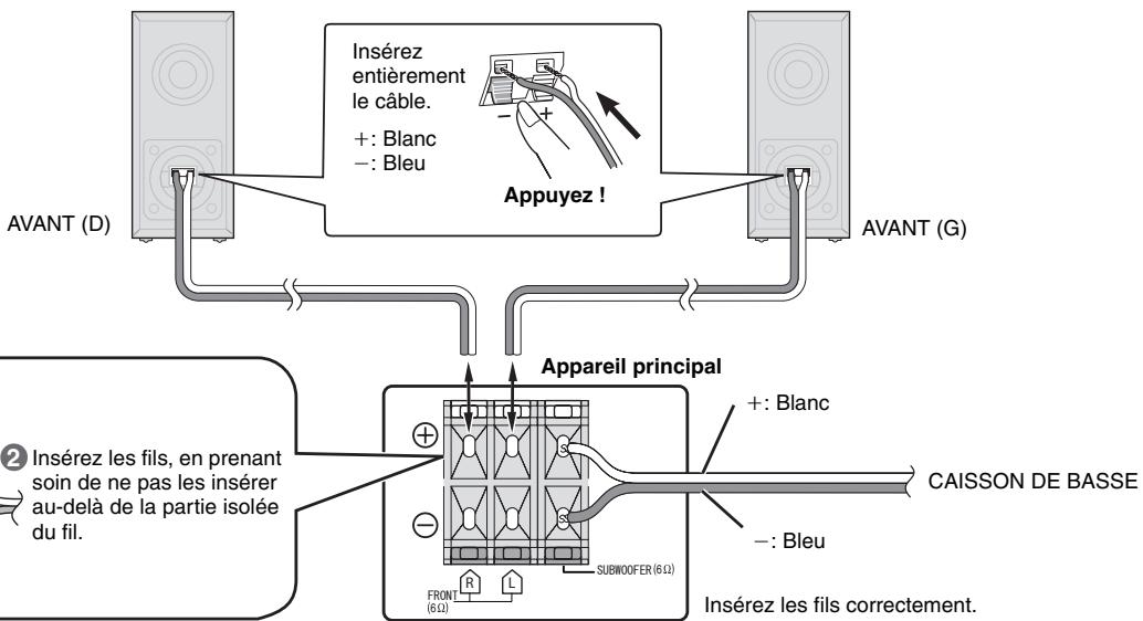 PANASONIC SC-PTX5 - Raccordements des enceintes - 2