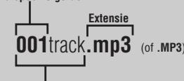 PANASONIC SL-MP76C - MP3-bestanden make voor weergave op dit apparaat - 2