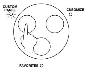 PANASONIC SX-KN7000 - CUSTOM PANEL - 2