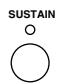 PANASONIC SX-KN7000 - SUSTAIN - 1
