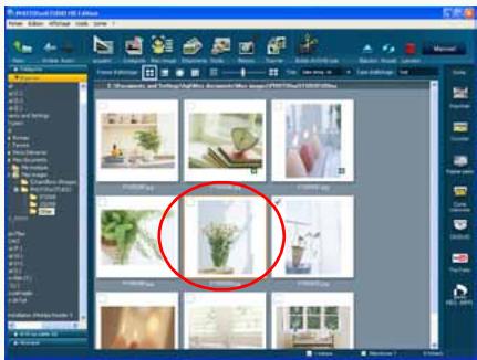 PANASONIC PHOTOFUNSTUDIO 3.0 HD EDITION - Sélection d'images - 1