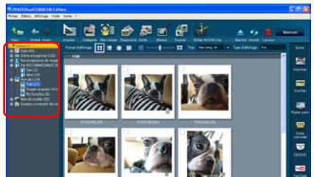 PANASONIC PHOTOFUNSTUDIO 3.0 HD EDITION - Suppression de classement - 1