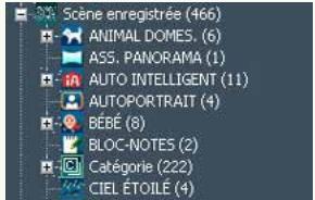 PANASONIC PHOTOFUNSTUDIO 3.0 HD EDITION - Classement par scene d'enregistrement - 1