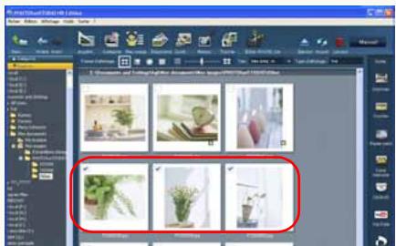 PANASONIC PHOTOFUNSTUDIO 3.0 HD EDITION - Marquage d'images - 2