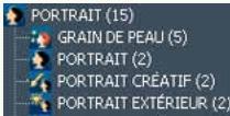 PANASONIC PHOTOFUNSTUDIO 3.0 HD EDITION - Classement par scene d'enregistrement - 3