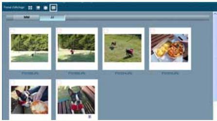 PANASONIC PHOTOFUNSTUDIO 3.0 HD EDITION - Affichage des images par date d'enregistrement (format calendrier) - 3