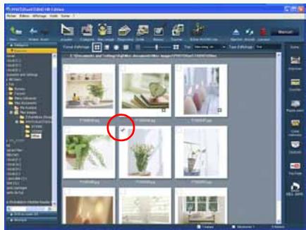 PANASONIC PHOTOFUNSTUDIO 3.0 HD EDITION - Marquage d'images - 1