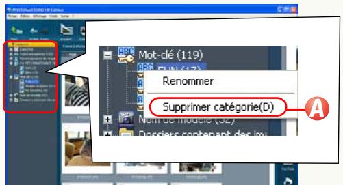 PANASONIC PHOTOFUNSTUDIO 3.0 HD EDITION - Suppression de classement - 3