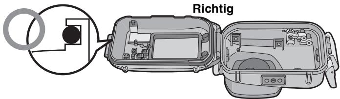 PANASONIC DMWMCTZ7 - Den O-Ring gleichmäßig in seine Nut einsetzen. - 1