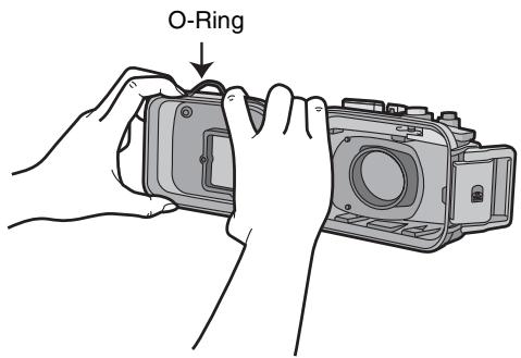 PANASONIC DMWMCTZ7 - Den O-Ring zum Entfernen mit den Fingern lösen. - 1