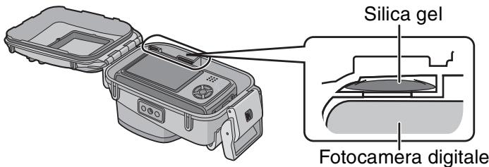 PANASONIC DMWMCTZ7 - Note - 3
