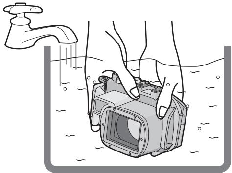 PANASONIC DMWMCTZ7 - Sumerja el estuche en agua fresca durante 30 minutos o más sin quitar la cámara digital para sacar los cristales de sal etc. - 1