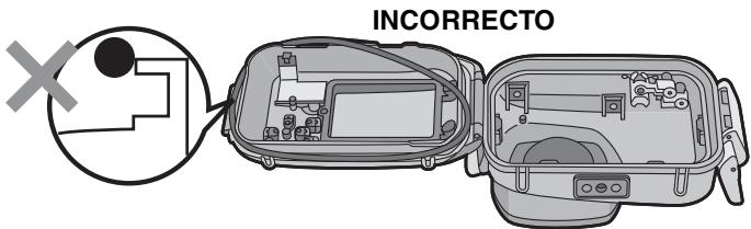PANASONIC DMWMCTZ7 - Ponga el anillo tórico de manera uniforme dentro de la respectiva ranura. - 2