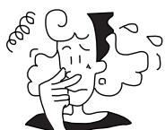 PANASONIC FY250ZDY2 - Sicherheitshinweise für den Betrieb - 2