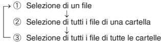 PANASONIC RRUS510 - Blocco dei file registrati (Protezione dei file) - 1