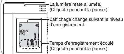 PANASONIC RRUS510 - ③ Appuyez sur [REC/PAUSE] (L'enregistrement commence). - 1