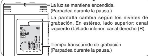 PANASONIC RRUS570 - Visualización durante la grabación - 1