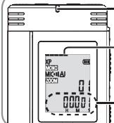 PANASONIC RRUS570 - Display durante la registrazione - 1
