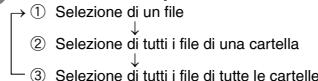 PANASONIC RRUS591 - Blocco dei file registrati (Protezione dei file) - 1