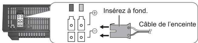 Insérez à fond. Câble de l'enceinte