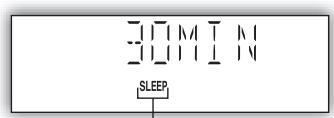 PANASONIC SC-PM5 - Zeitschaltuhr - 2