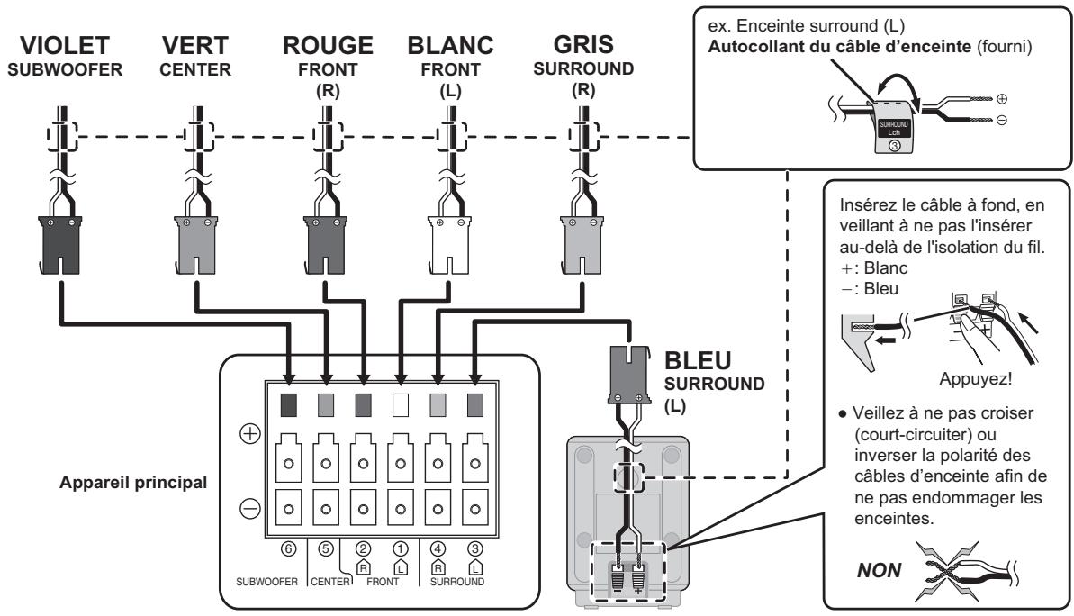 PANASONIC SC-PT170 - Connexions des enceintes - 1