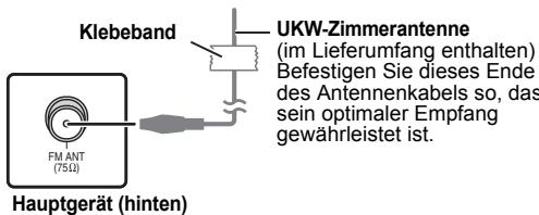 PANASONIC SC-PT480 - Verwendung einer Innenantenne - 1