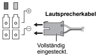 PANASONIC SHFX71 - Vorbereitung - 2