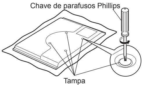 Chave de parafusos Phillips Tampa