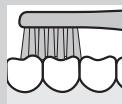 PANASONIC EW-DS11 - Morso (denti posteriori) - 1