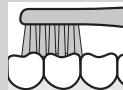 PANASONIC EW-DS11 - Occlusion (dents arrière) - 1
