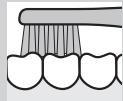 PANASONIC EW-DS11 - Bite (back teeth) - 1