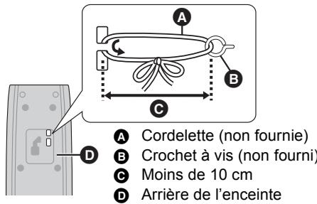 A B C D A Cordelette (non fournie) B Crochet à vis (non fourni) C Moins de 10 cm D Arrière de l'enceinte