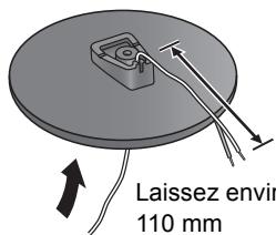 Laissez envir 110 mm