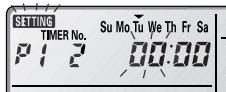 SETTING TIMER No. Su Mo Tu We Th Fr Sa P1 2 00:00