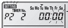 SETTING TIMER No. P2 2 Su Mo Tu We Th Fr Sa 00:00