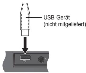 PANASONIC SC-HC17EG - USB - 1