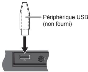 PANASONIC SC-HC17EG - Remarque : - 1