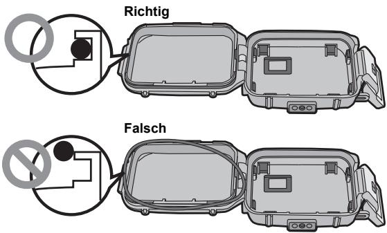 PANASONIC DMWMCFT5PP - Den O-Ring gleichmäßig in seine Nut einsetzen. - 1