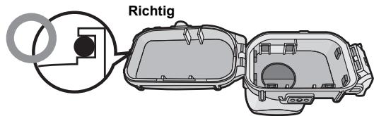 PANASONIC DMWMCTZ35E - Den O-Ring gleichmäßig in seine Nut einsetzen. - 1