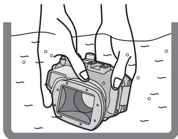 PANASONIC DMWMCTZ40PP - Notes - 1