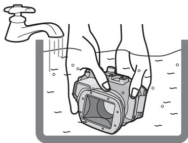 PANASONIC DMWMCTZ40PP - Nota - 1