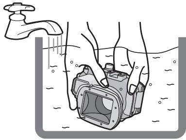 PANASONIC DMWMCTZ40PP - Note - 1