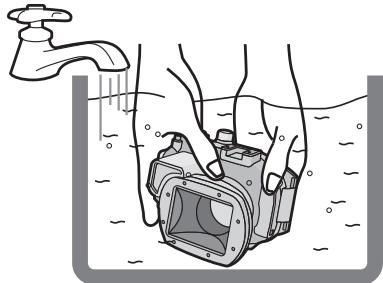 PANASONIC DMWMCTZ40PP - Nota - 1