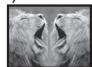 PANASONIC PVGS16 - Digital Effects 1 [EFFECT1] - 8