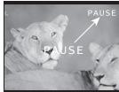PANASONIC PVGS16 - Press the Recording Start/Stop Button 41 again to pause the recording. - 1